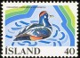 动物:欧洲:冰岛:is197701.jpg