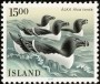 动物:欧洲:冰岛:is198604.jpg