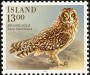 动物:欧洲:冰岛:is198701.jpg