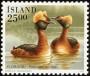 动物:欧洲:冰岛:is199101.jpg