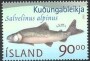 动物:欧洲:冰岛:is200206.jpg