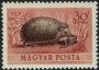 动物:欧洲:匈牙利:hu195302.jpg