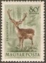 动物:欧洲:匈牙利:hu195307.jpg