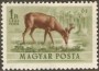 动物:欧洲:匈牙利:hu195308.jpg