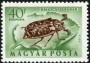 动物:欧洲:匈牙利:hu195402.jpg