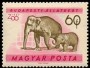 动物:欧洲:匈牙利:hu196104.jpg