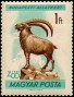 动物:欧洲:匈牙利:hu196106.jpg