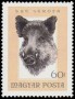 动物:欧洲:匈牙利:hu196617.jpg