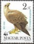 动物:欧洲:匈牙利:hu198304.jpg