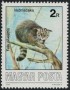动物:欧洲:匈牙利:hu198601.jpg