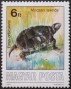 动物:欧洲:匈牙利:hu198606.jpg