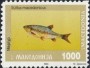 动物:欧洲:北马其顿:mk199303.jpg