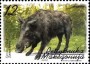动物:欧洲:北马其顿:mk200202.jpg