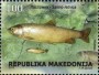 动物:欧洲:北马其顿:mk201804.jpg