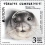 动物:欧洲:土耳其:tr202101.jpg