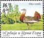 动物:欧洲:塞尔维亚和黑山:rsm200602.jpg