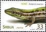 动物:欧洲:塞尔维亚:rs201202.jpg