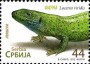 动物:欧洲:塞尔维亚:rs201203.jpg