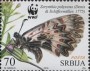 动物:欧洲:塞尔维亚:rs201604.jpg