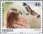 动物:欧洲:塞尔维亚:rs201606.jpg