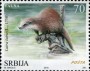 动物:欧洲:塞尔维亚:rs201608.jpg