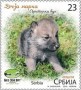动物:欧洲:塞尔维亚:rs201807.jpg