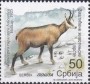 动物:欧洲:塞尔维亚:rs201905.jpg