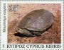 动物:欧洲:塞浦路斯:cy199203.jpg