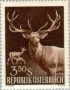 动物:欧洲:奥地利:at195904.jpg