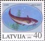 动物:欧洲:拉脱维亚:lv200202.jpg