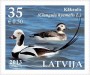 动物:欧洲:拉脱维亚:lv201301.jpg