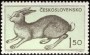 动物:欧洲:捷克斯洛伐克:cs195505.jpg