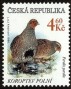 动物:欧洲:捷克:cz199801.jpg