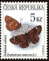动物:欧洲:捷克:cz199904.jpg