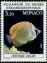 动物:欧洲:摩纳哥:mc198503.jpg