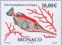 动物:欧洲:摩纳哥:mc200210.jpg
