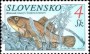 动物:欧洲:斯洛伐克:sk199801.jpg