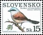 动物:欧洲:斯洛伐克:sk199902.jpg