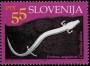 动物:欧洲:斯洛文尼亚:si199304.jpg