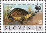 动物:欧洲:斯洛文尼亚:si199602.jpg