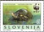 动物:欧洲:斯洛文尼亚:si199603.jpg