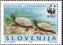 动物:欧洲:斯洛文尼亚:si199604.jpg