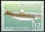 动物:欧洲:斯洛文尼亚:si199701.jpg