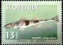 动物:欧洲:斯洛文尼亚:si199702.jpg
