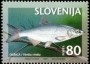 动物:欧洲:斯洛文尼亚:si199703.jpg