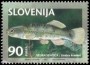 动物:欧洲:斯洛文尼亚:si199704.jpg