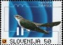 动物:欧洲:斯洛文尼亚:si199801.jpg