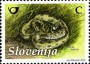 动物:欧洲:斯洛文尼亚:si201003.jpg