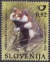 动物:欧洲:斯洛文尼亚:si201503.jpg