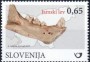 动物:欧洲:斯洛文尼亚:si201701.jpg